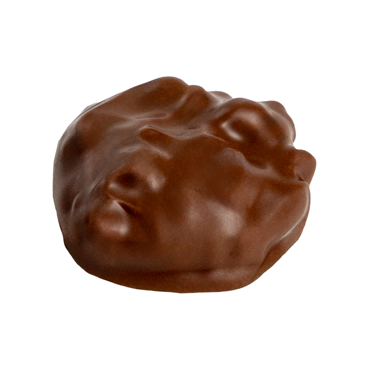 Milk Chocolate Pecan Bear™